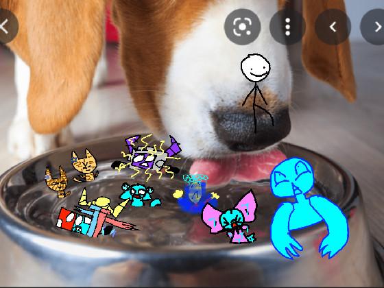 add your oc in the dog bowl 1 1 1 1 1 1 1