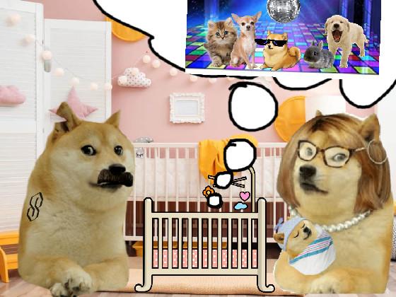 doges first dream