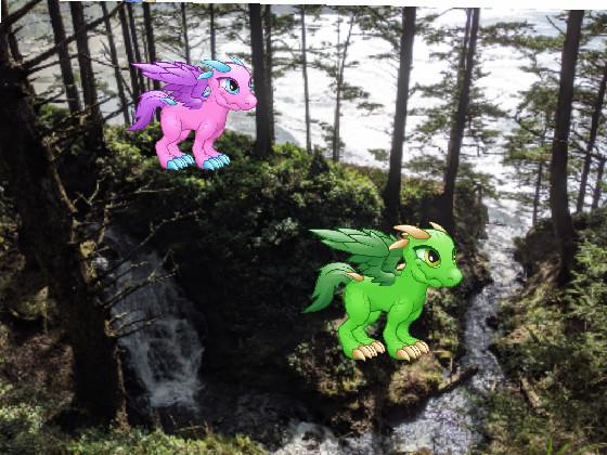 Forest Dragons