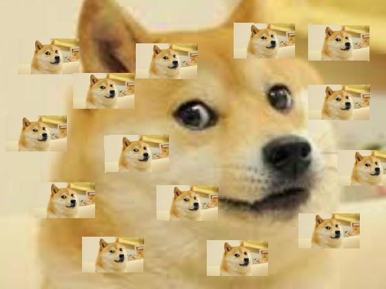 We will rock you doge 1 1