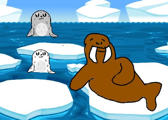 Seals and Walrus 1