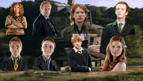 Harry Potter Weasley family