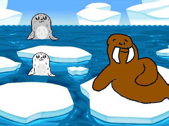 Seals and Walrus 3