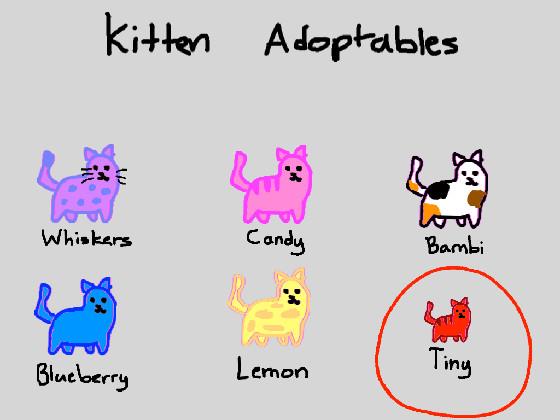 Kitten adoptables! 1