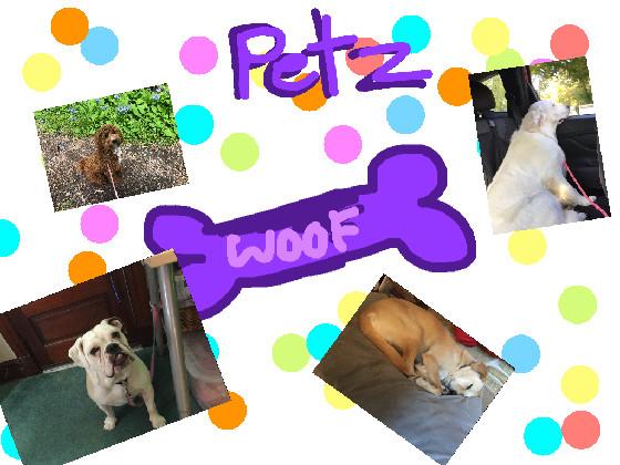 re:PETZ  1 1