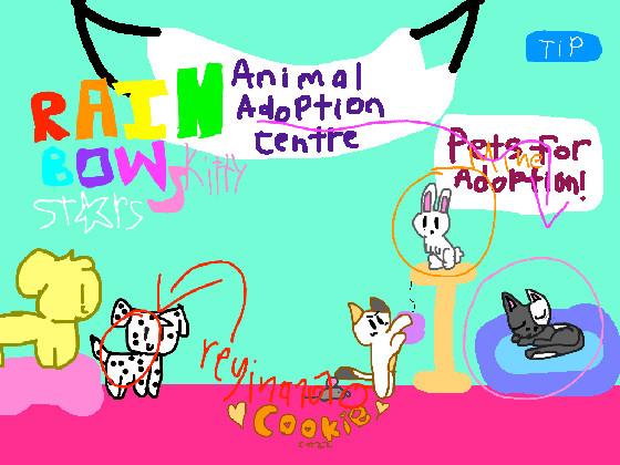 Animal Adoption centre (part 1)