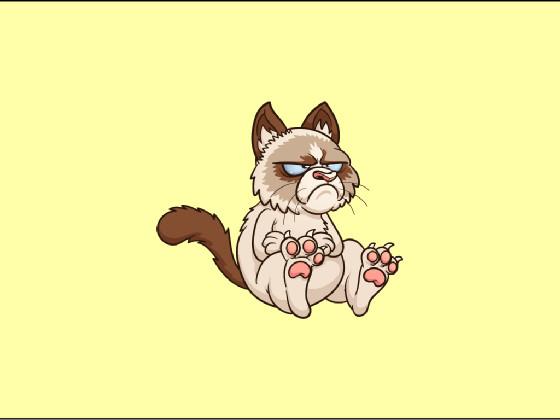 grumpy cat