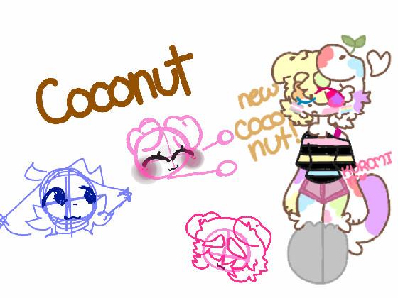 Coconut's new look 1 1