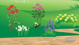 Bee Game