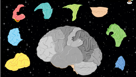 Brain - Space