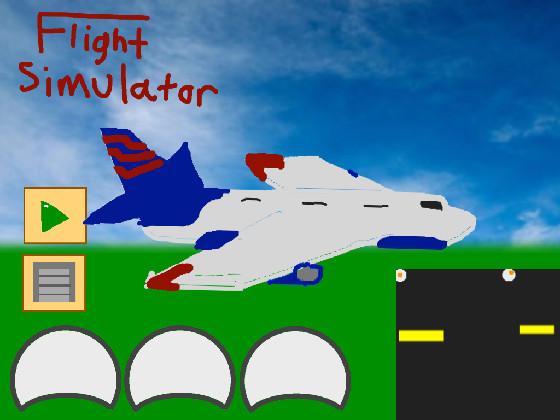 Flight Simulator