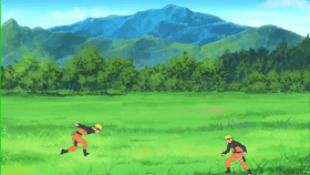 Naruto Fight