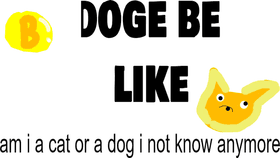 doge meme