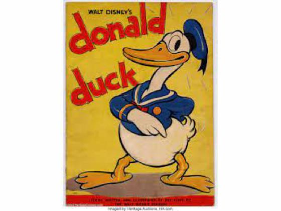 what is donald duck?