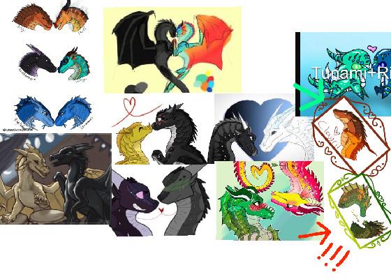 WOF (Wings Of Fire) Ships!