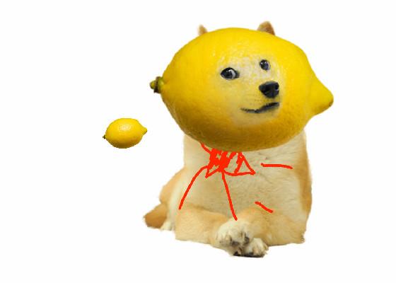doge x lemon has a kid