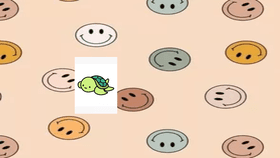 i like turtles