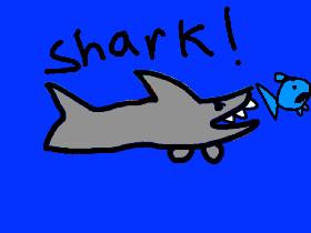 Shark!yeet 1