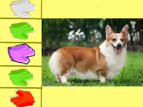 corgi clicker