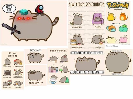 pusheen 1