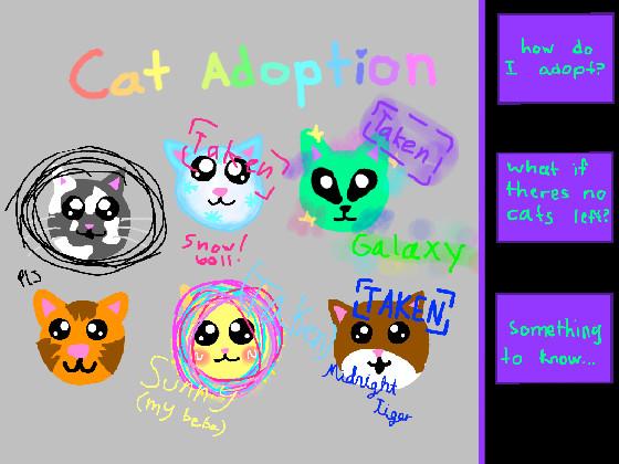 Cat adoption 1 1 1 1