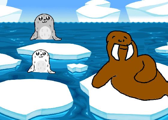 Seals and Walrus 1