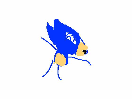 ultra sonic  1