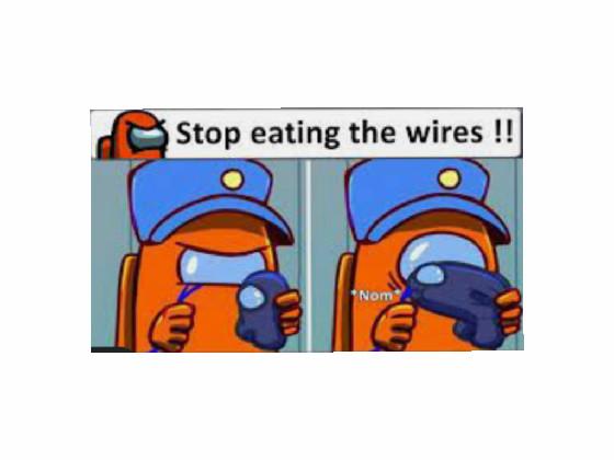 stop eating the wires