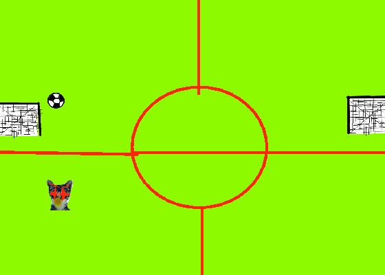 cat soccer 1 1 1