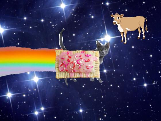 Real nyan cat 1