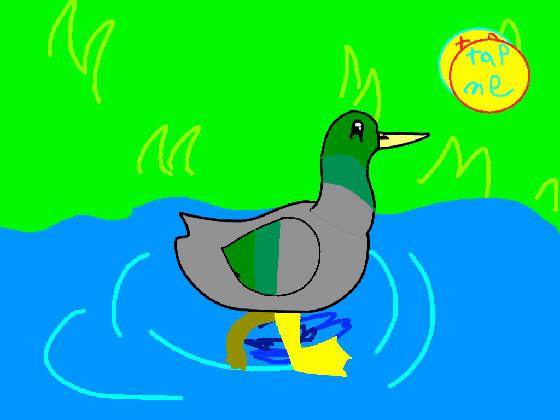 Boy duck animation