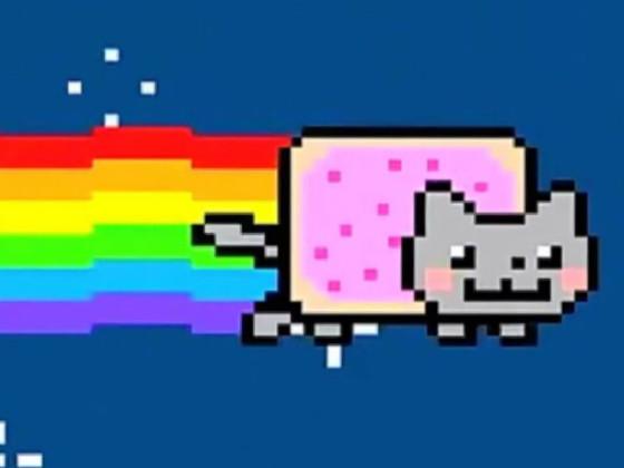 Nyon cat❤️😺