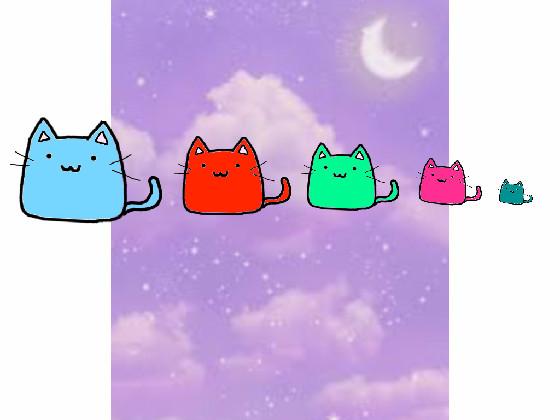 RAINBOW CATS!