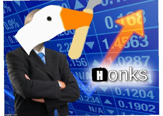 hONKS 1