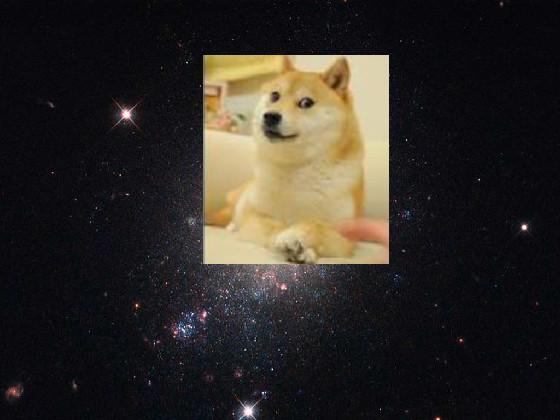 DOGE COIN 1