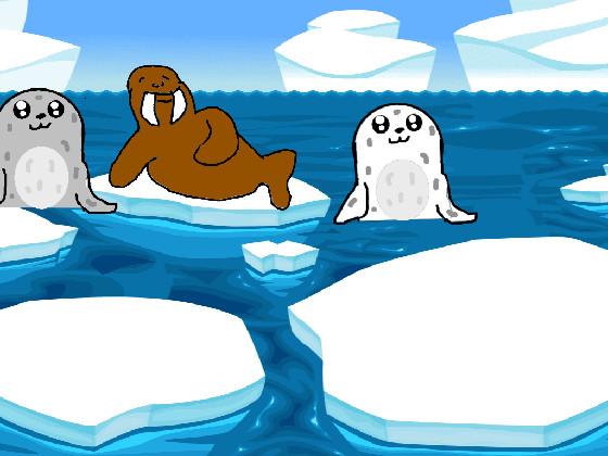 Seals and Walrus 1