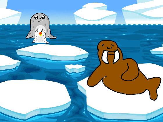 Seals and Walrus 1