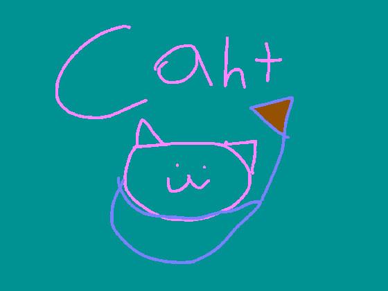 cat boat