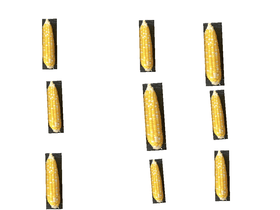 Its corn