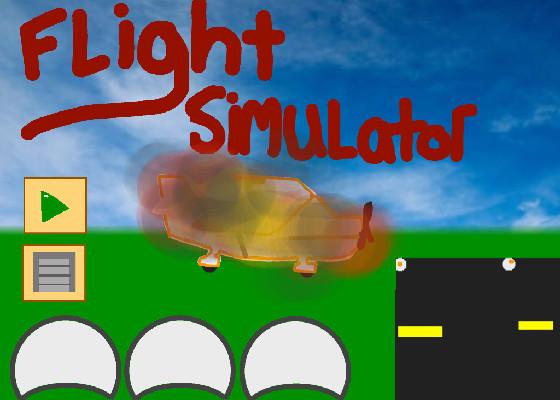 Flight Simulator 1