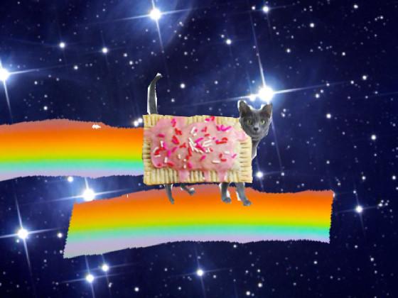 Real nyan cat 1