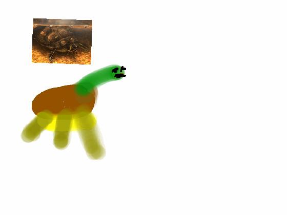 fast turtle 