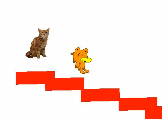 Jumping cat