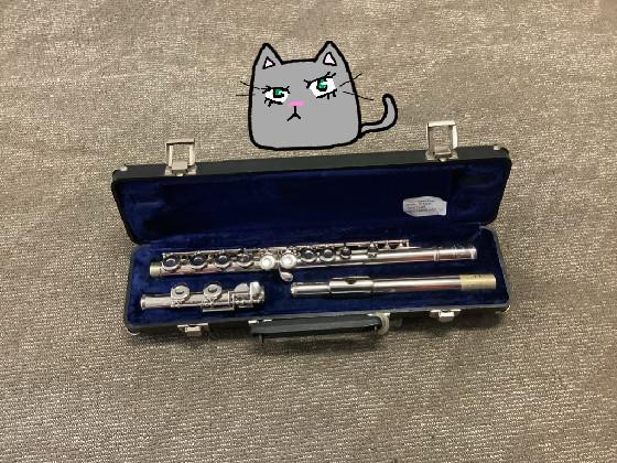 theres a cat by my flute!