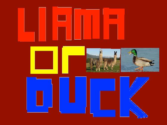 llama or duck? 1