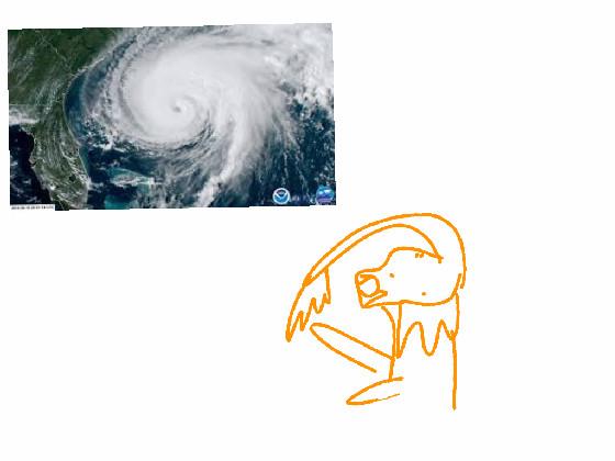 I hate hurricNes