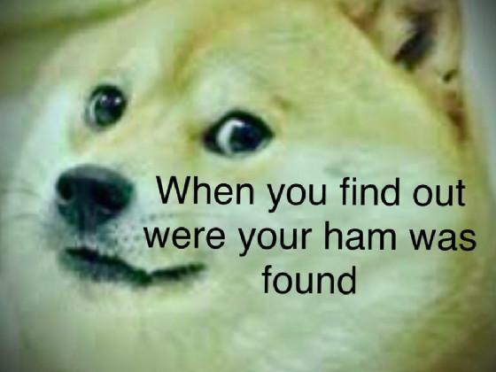 doge meme 2