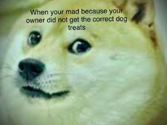 doge meme 4