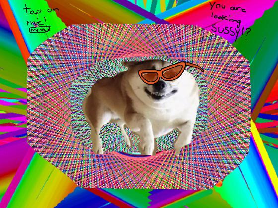 sus doge!🕶🐶