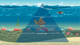 Ocean Ecological Pyramid